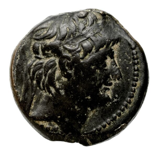 аверс Seleucid Coins (part 2) 2229.4f