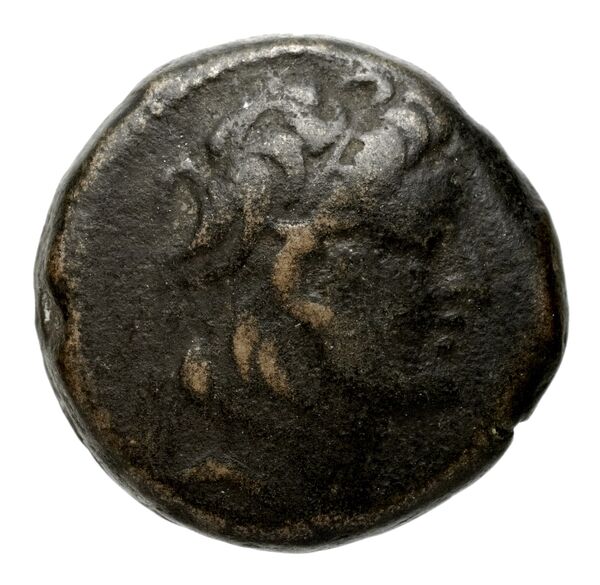 аверс Seleucid Coins (part 2) 2229.5
