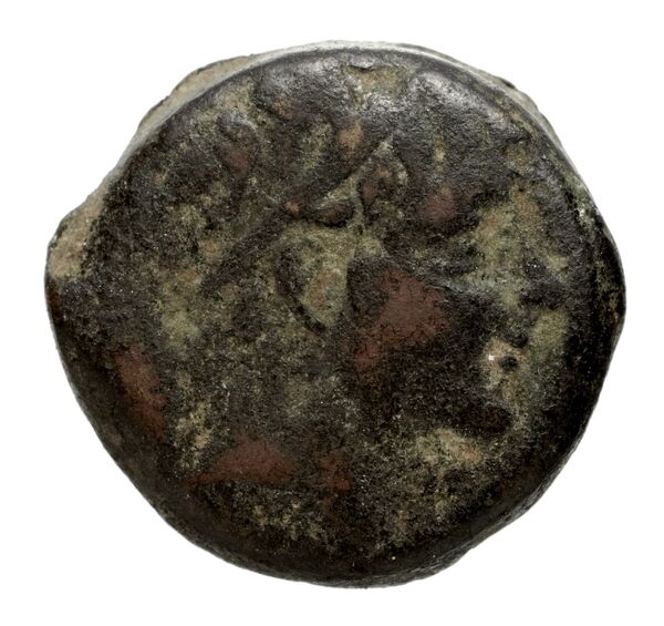 аверс Seleucid Coins (part 2) 2229.7