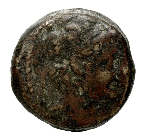Seleucid Coins (part 2) 2229, аверс, bnf-hrc
