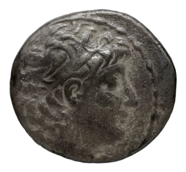 аверс Seleucid Coins (part 2) 2219.4b