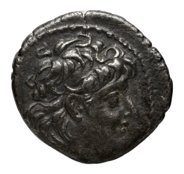 аверс Seleucid Coins (part 2) 2221.3b