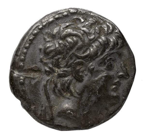 аверс Seleucid Coins (part 2) 2221.3c