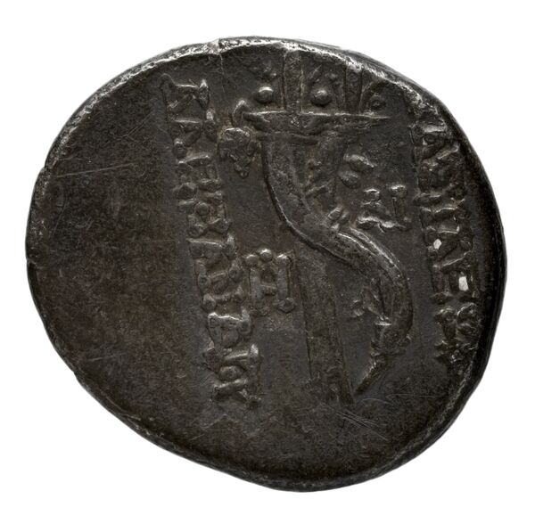 реверс Seleucid Coins (part 2) 2221.2