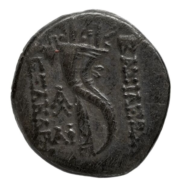 реверс Seleucid Coins (part 2) 2221.1c
