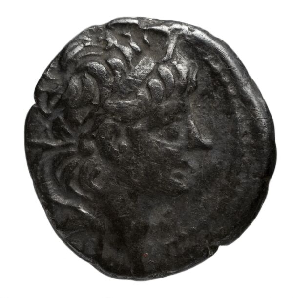аверс Seleucid Coins (part 2) 2227