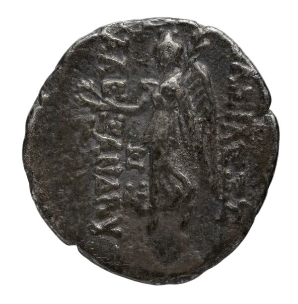 реверс Seleucid Coins (part 2) 2227