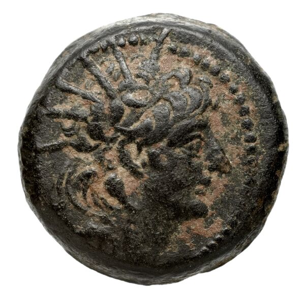 аверс Seleucid Coins (part 2) 2233.1c