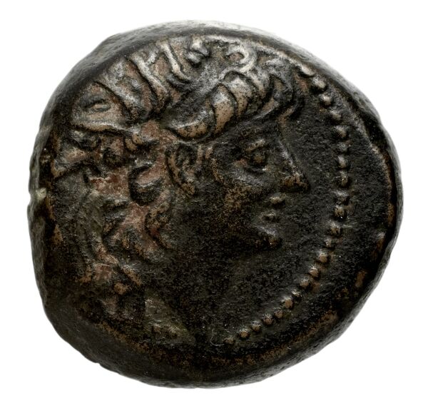 аверс Seleucid Coins (part 2) 2233.2