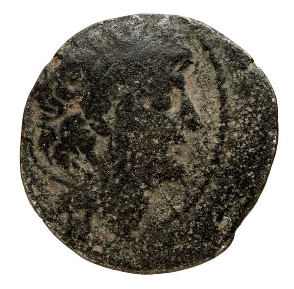 аверс Seleucid Coins (part 2) 2237.2c