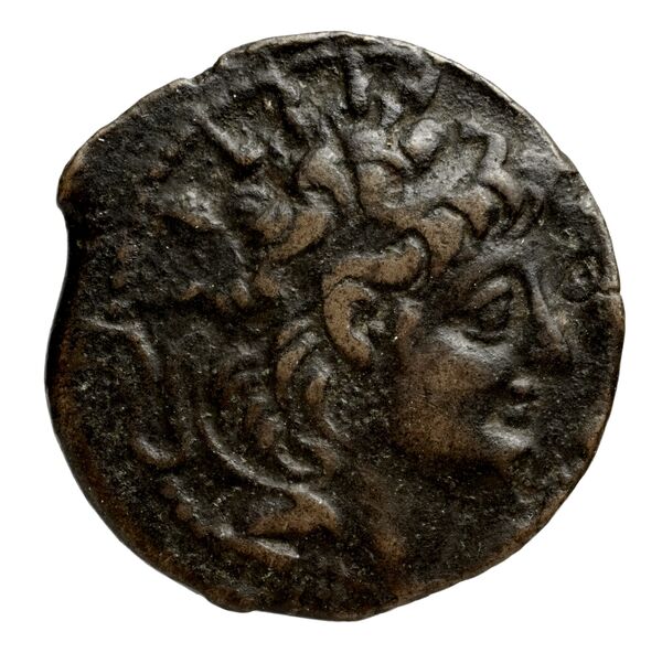 аверс Seleucid Coins (part 2) 2237.1h