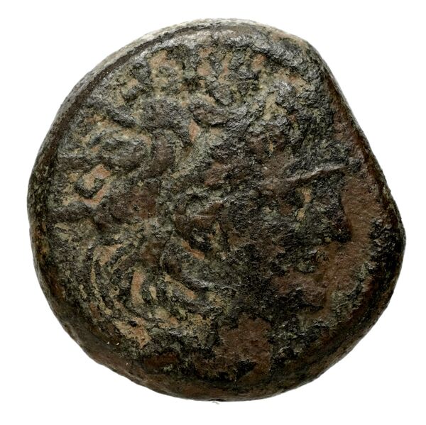 Seleucid Coins (part 2) 2237.1e, аверс, bnf-hrc