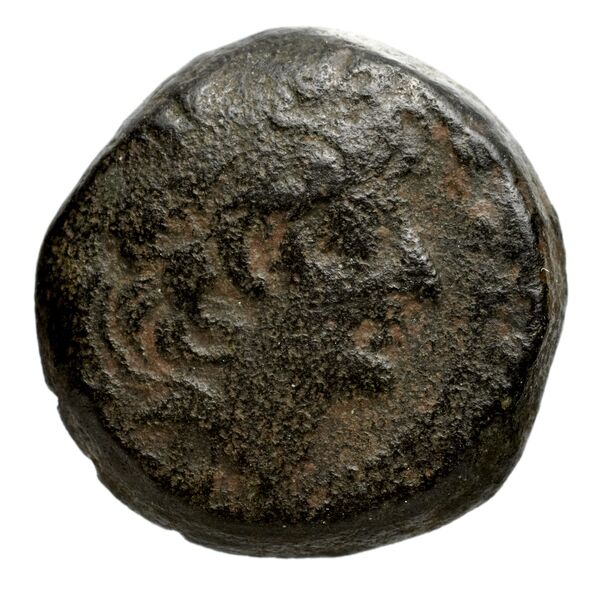 аверс Seleucid Coins (part 2) 2237.1d