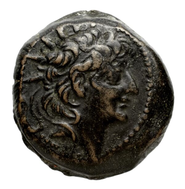Seleucid Coins (part 2) 2237.1b, аверс, bnf-hrc
