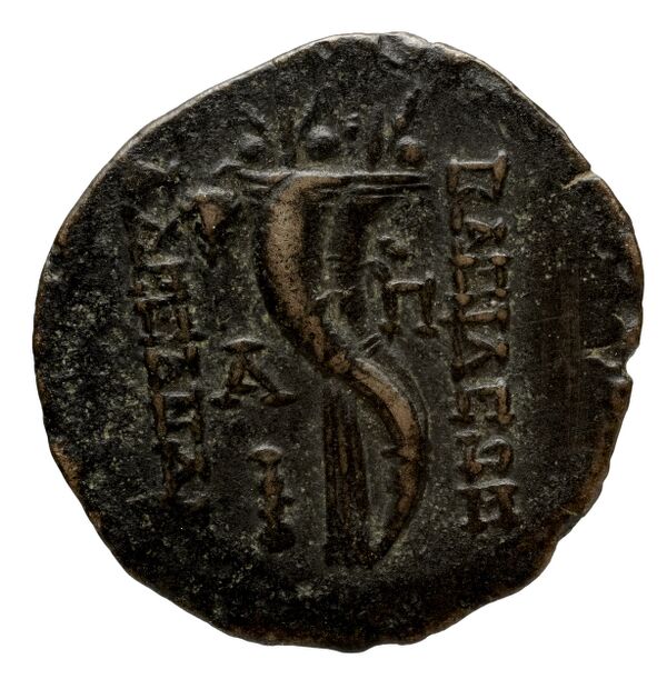 Seleucid Coins (part 2) 2237.1b, реверс, bnf-hrc