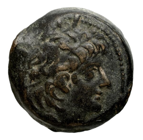 аверс Seleucid Coins (part 2) 2237.1f