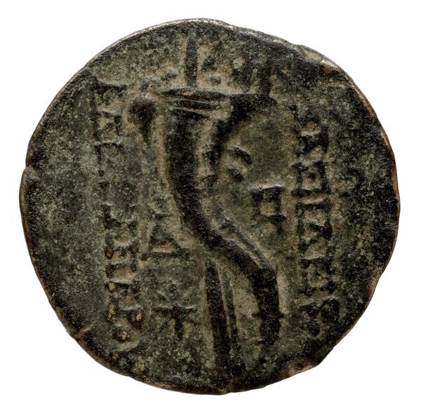 реверс Seleucid Coins (part 2) 2237.1f