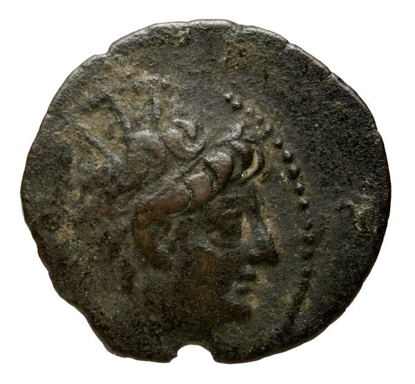 аверс Seleucid Coins (part 2) 2237.1c