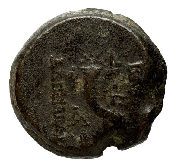 реверс Seleucid Coins (part 2) 2237.1c
