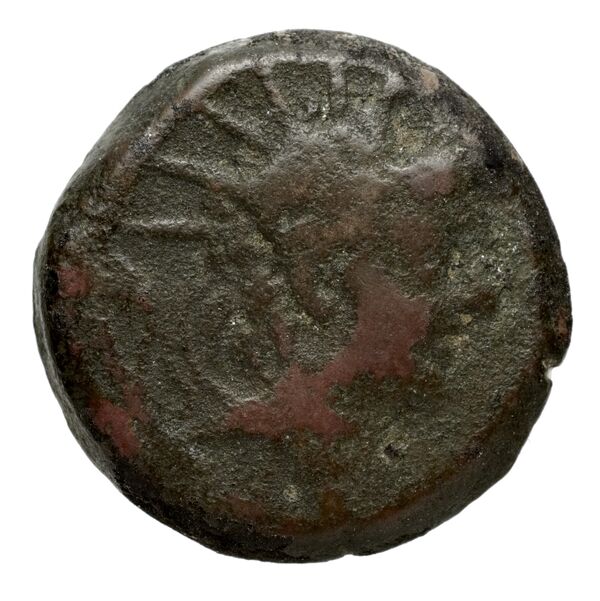 аверс Seleucid Coins (part 2) 2235.2c