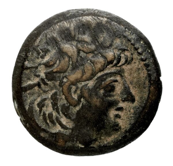аверс Seleucid Coins (part 2) 2235.1c