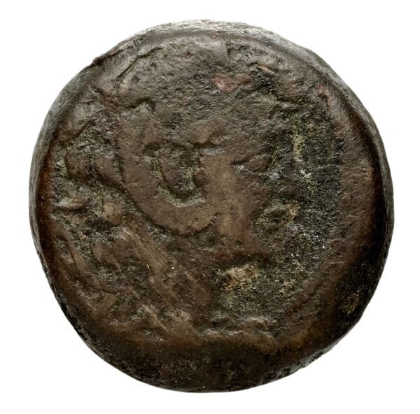 Seleucid Coins (part 2) 2231.1b, аверс, bnf-hrc