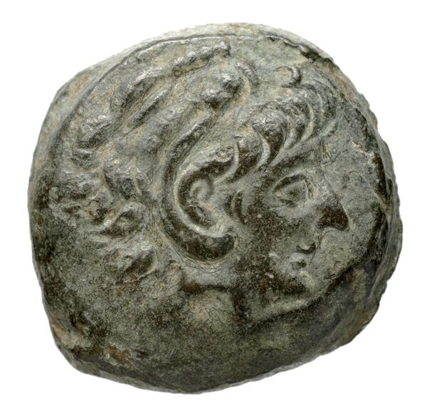 аверс Seleucid Coins (part 2) 2231.1c