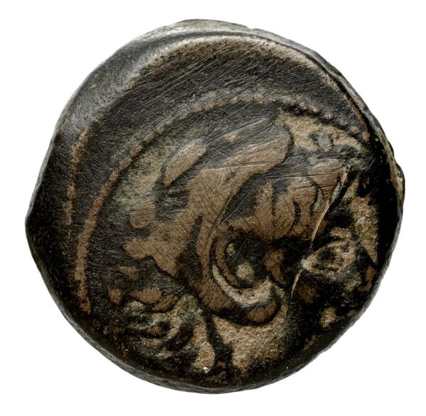 Seleucid Coins (part 2) 2231.1g, аверс, bnf-hrc