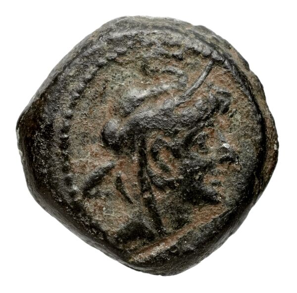аверс Seleucid Coins (part 2) 2234.1c