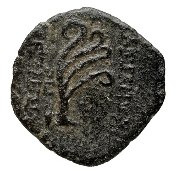реверс Seleucid Coins (part 2) 2234.1c