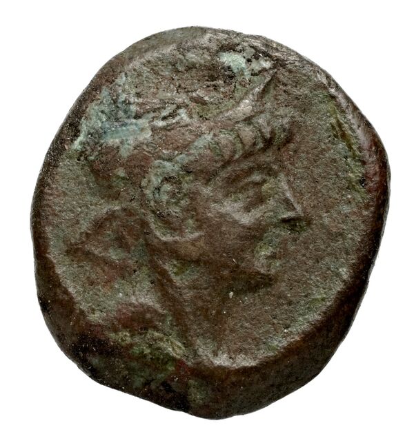 Seleucid Coins (part 2) 2234.1c, аверс, bnf-hrc