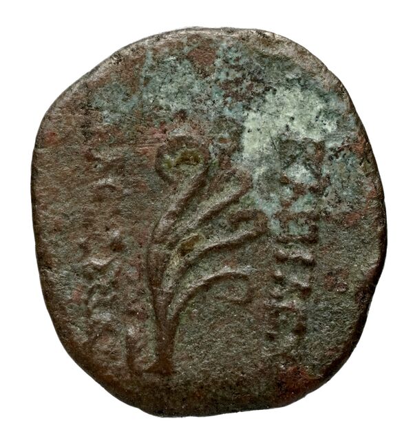 Seleucid Coins (part 2) 2234.1c, реверс, bnf-hrc