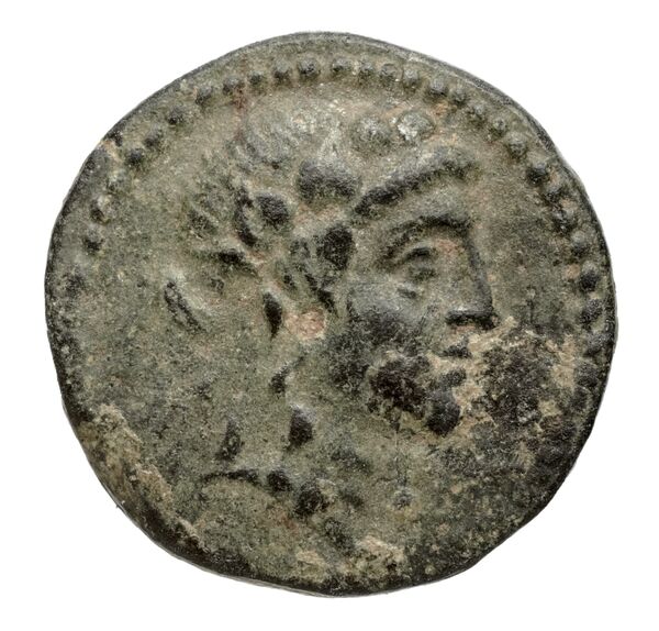 Seleucid Coins (part 2) 1791.1a, аверс, bnf-hrc