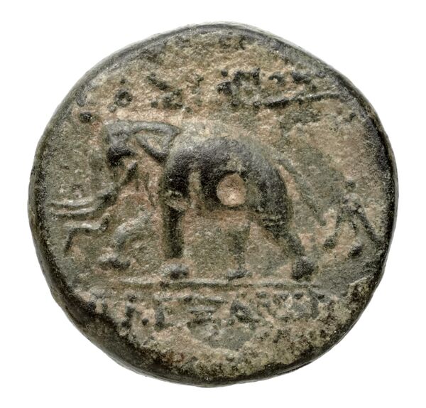 Seleucid Coins (part 2) 1791.1a, реверс, bnf-hrc
