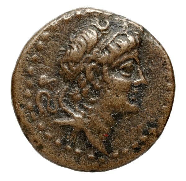 obverse Seleucid Coins (part 2) 2251