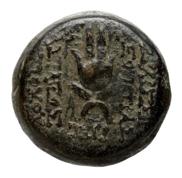 реверс Seleucid Coins (part 2) 2274.1c