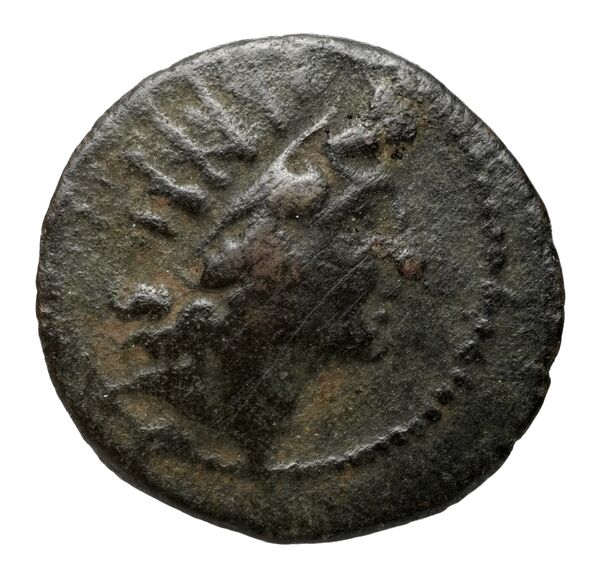 аверс Seleucid Coins (part 2) 2274.2a