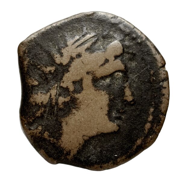 Seleucid Coins (part 2) 2274.3, аверс, bnf-hrc