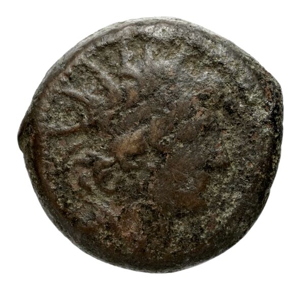 Seleucid Coins (part 2) 2263.2f, obverse, bnf-hrc