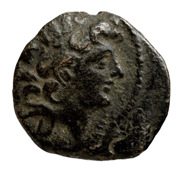 Seleucid Coins (part 2) 2263.2f, obverse, bnf-hrc