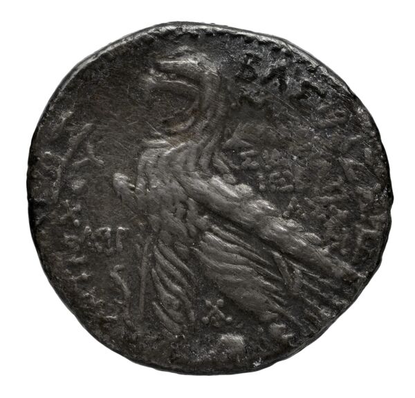 реверс Seleucid Coins (part 2) 2269