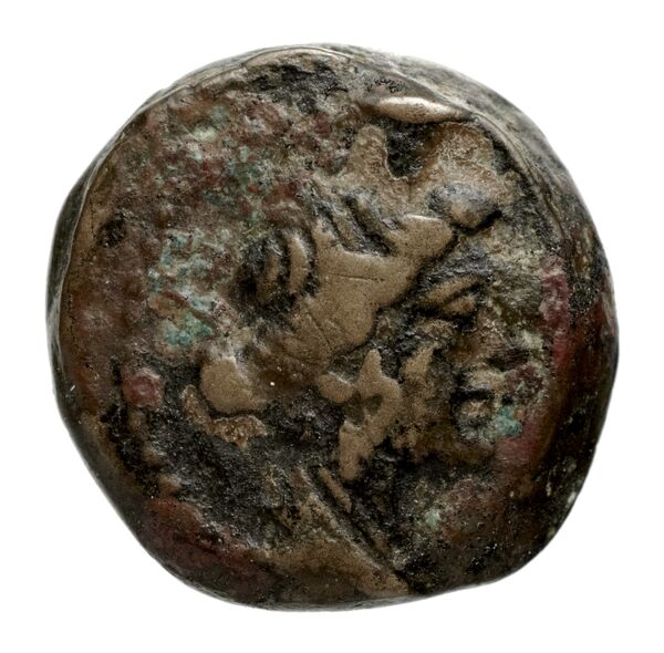 аверс Seleucid Coins (part 2) 2264a