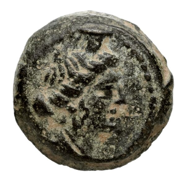 аверс Seleucid Coins (part 2) 2264b
