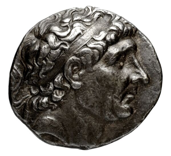 аверс Seleucid Coins (part 1) 335.5