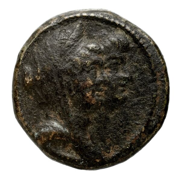 аверс Seleucid Coins (part 2) 2265.1c