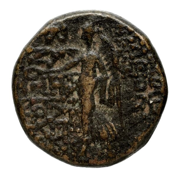реверс Seleucid Coins (part 2) 2265.1c