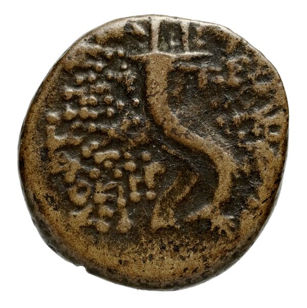 reverse Seleucid Coins (part 2) 2266.2