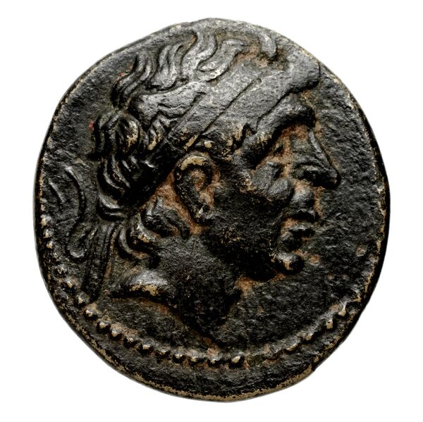Seleucid Coins (part 1) 351.1a, аверс, bnf-hrc