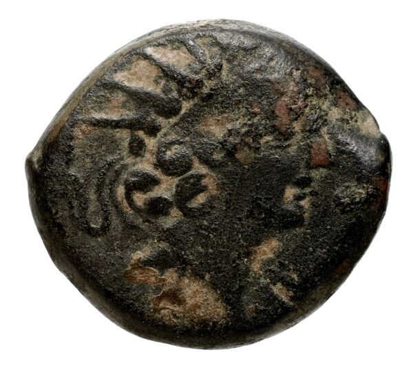 аверс Seleucid Coins (part 2) 2300.1e