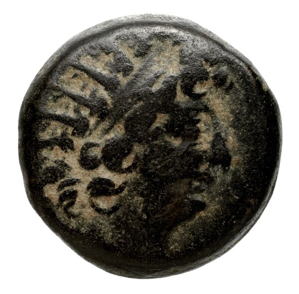 аверс Seleucid Coins (part 2) 2300.1g